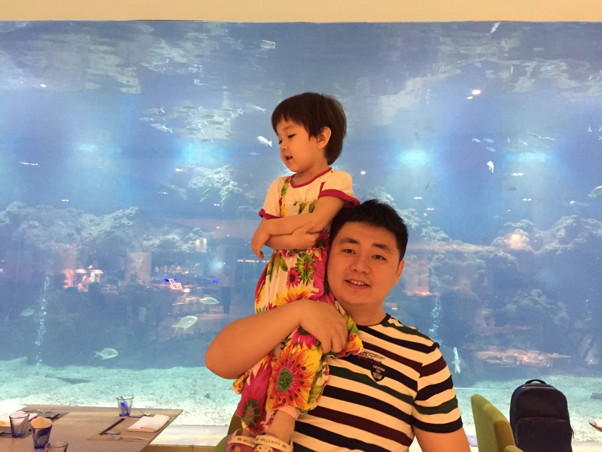 2017海南有多少人口_海南人口分布图