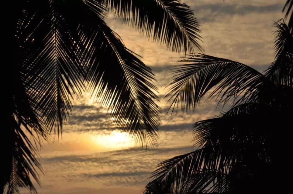 人口预测天涯_全球人口预测