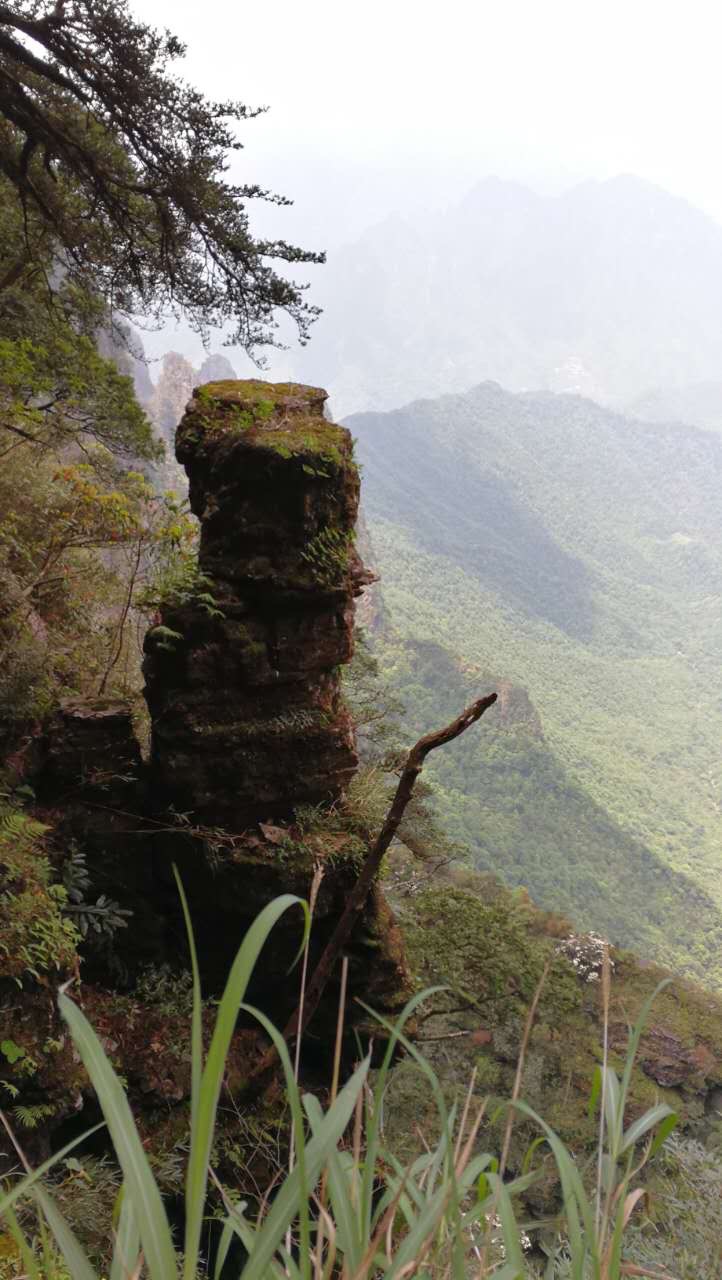 采药仙人