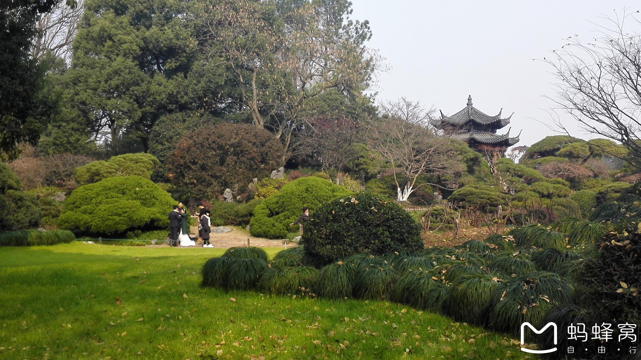 杭州西湖十景之一的"花港观鱼"游遍_游记