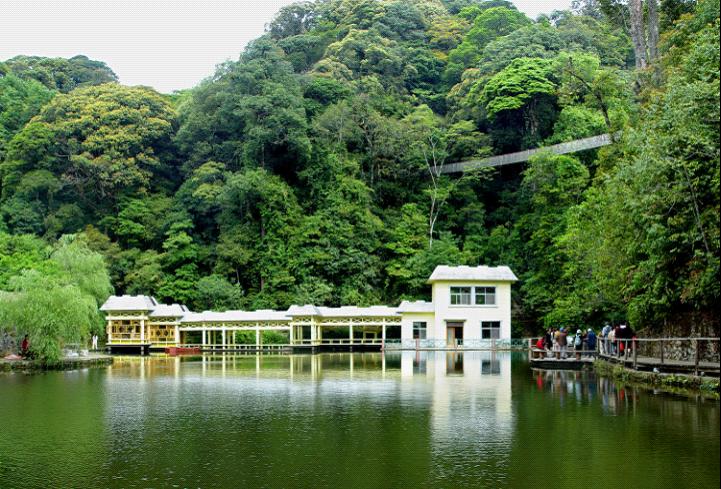 浏阳大围山森林公园赏高山杜鹃花一日游