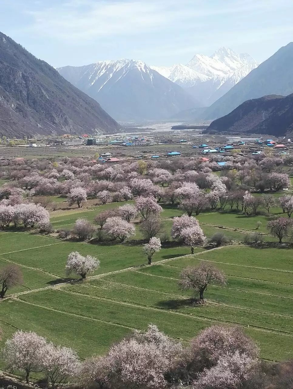 从拉萨到林芝三日游,包车价格多少?