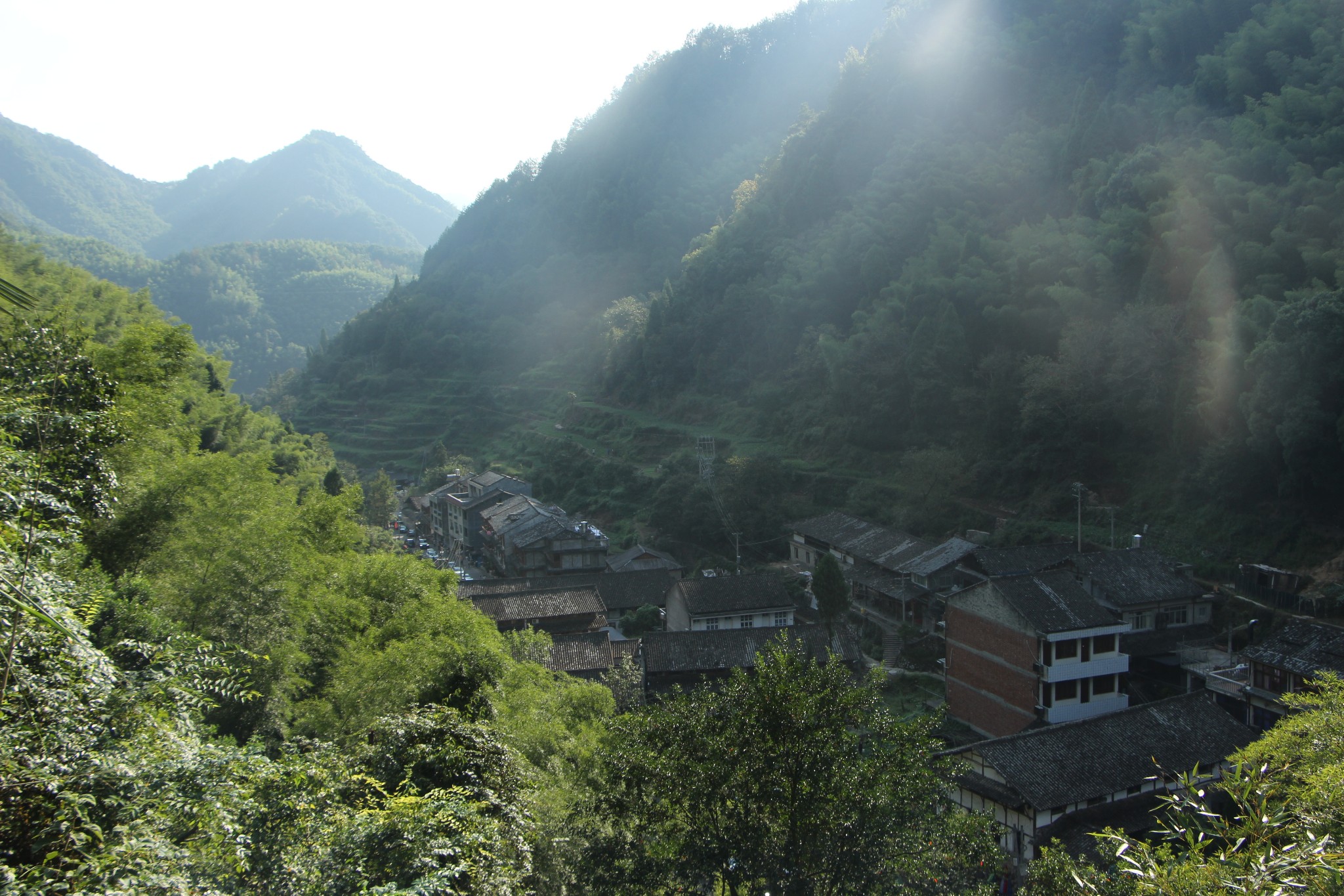 林苍村人口_人口普查(2)