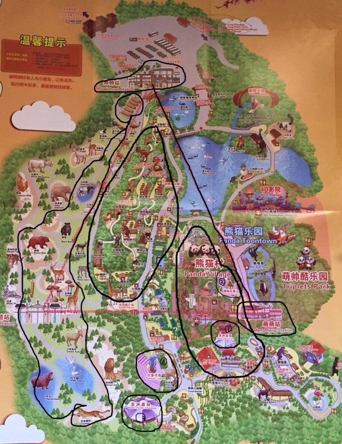 1.非洲发现10点场,之前先随便看看门口的火烈鸟,猴子等普通区域,看完表演就步行参观熊猫村,考拉馆等动物园的重头戏部分。 2.等12点的探秘花果山,然后园区内吃中饭(吃的地方特别多,不用担心没地方吃,简餐80一顿,做好心理准备即可) 3.园内新增的缆车,可以节省体力,像福老师这种懒人很需要,单程一段60元/人,可以选择最不想逛的水上鸡鸭鹅区域,然后飞过去,在北门下车 4.