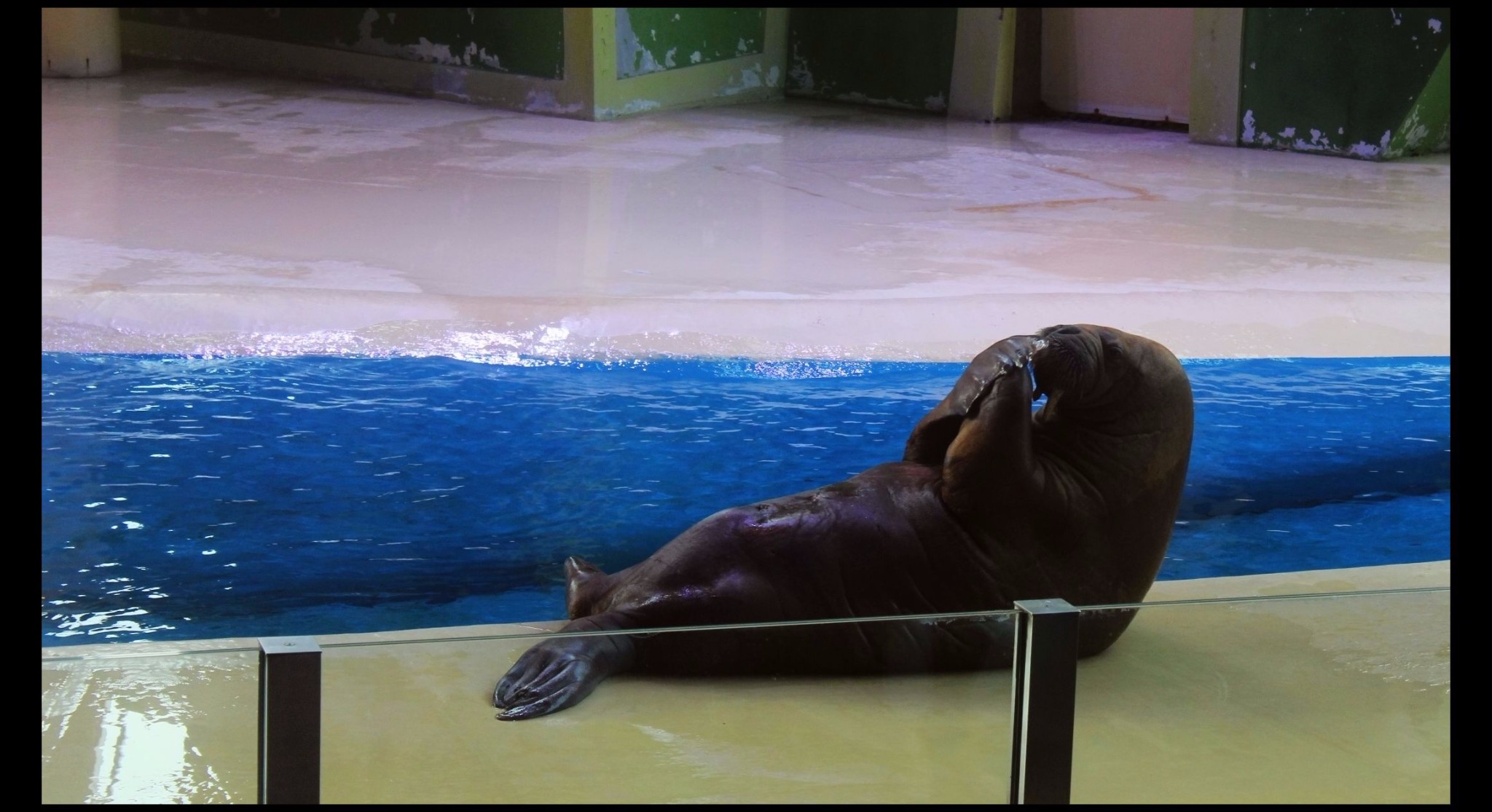 2017珠海旅游攻略,珠海自由行攻略,蚂蜂窝珠海