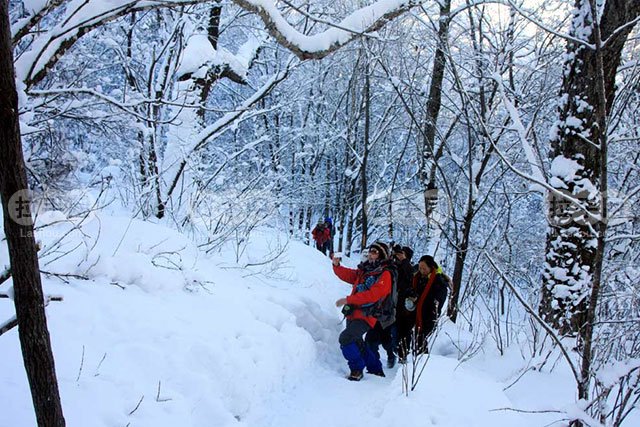 超高清雪乡