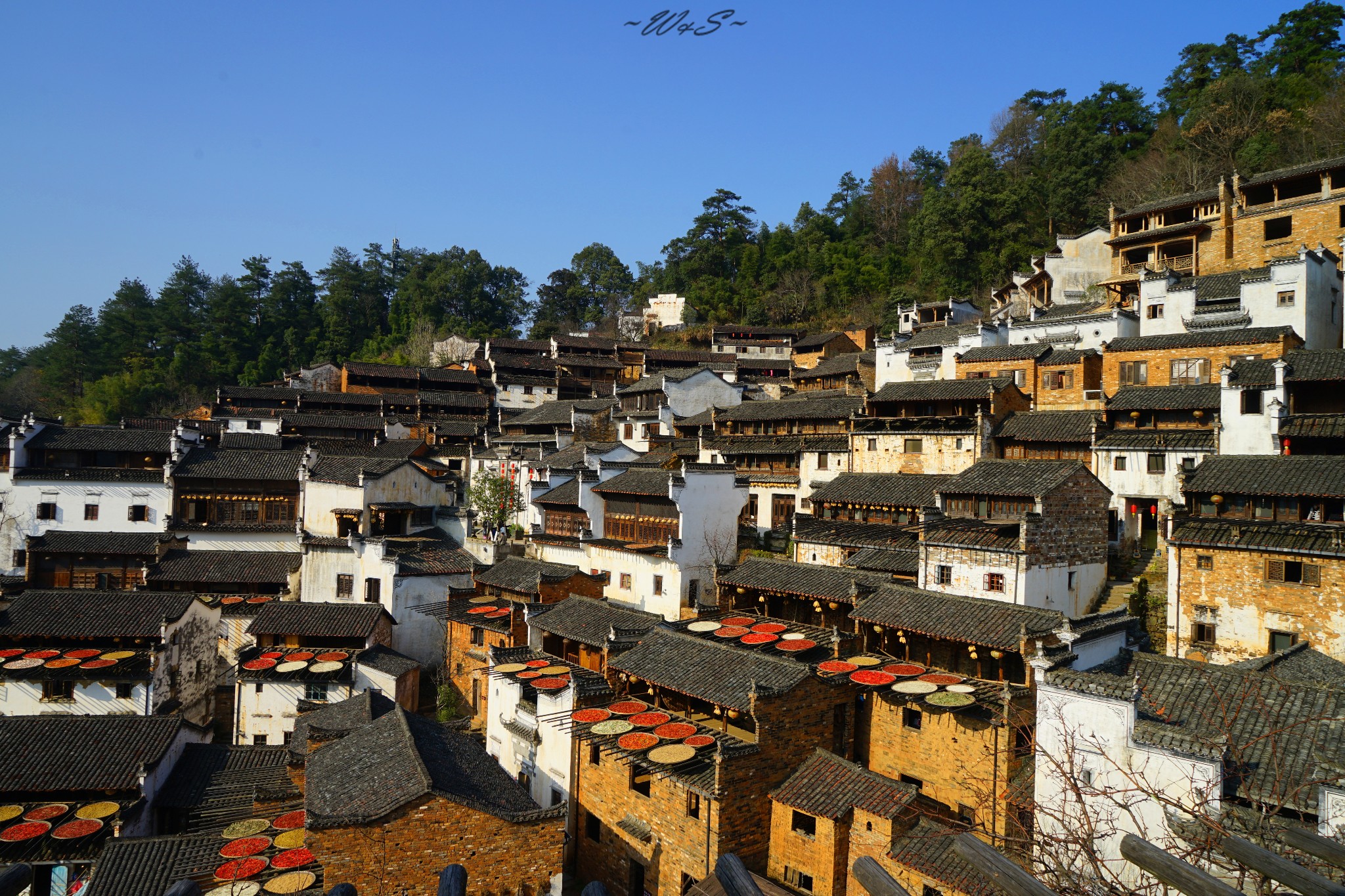 石城县有多少人口_石城乡人口面积 位置怎么去 旅游景点图片 土流网