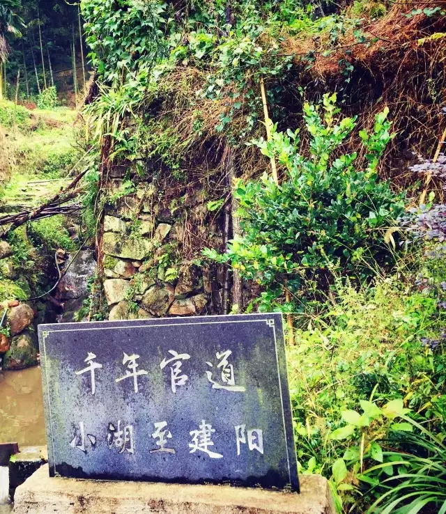 建阳葛墩村寻高山遗韵,建阳区旅游攻略 - 马蜂窝