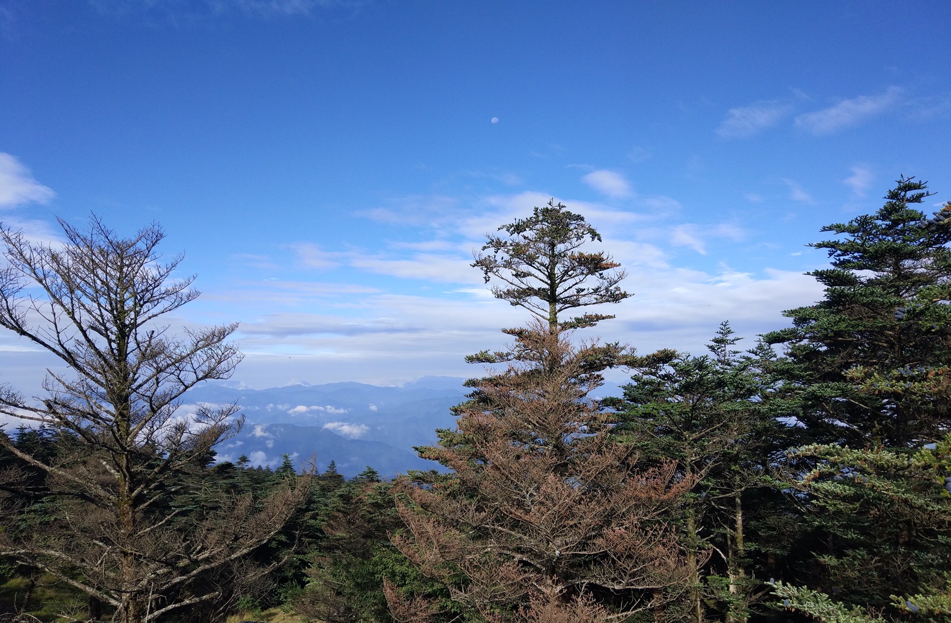 峨眉山市有多少人口_130亿助峨眉山再现辉煌,引领四川旅游产业发展新风向(3)