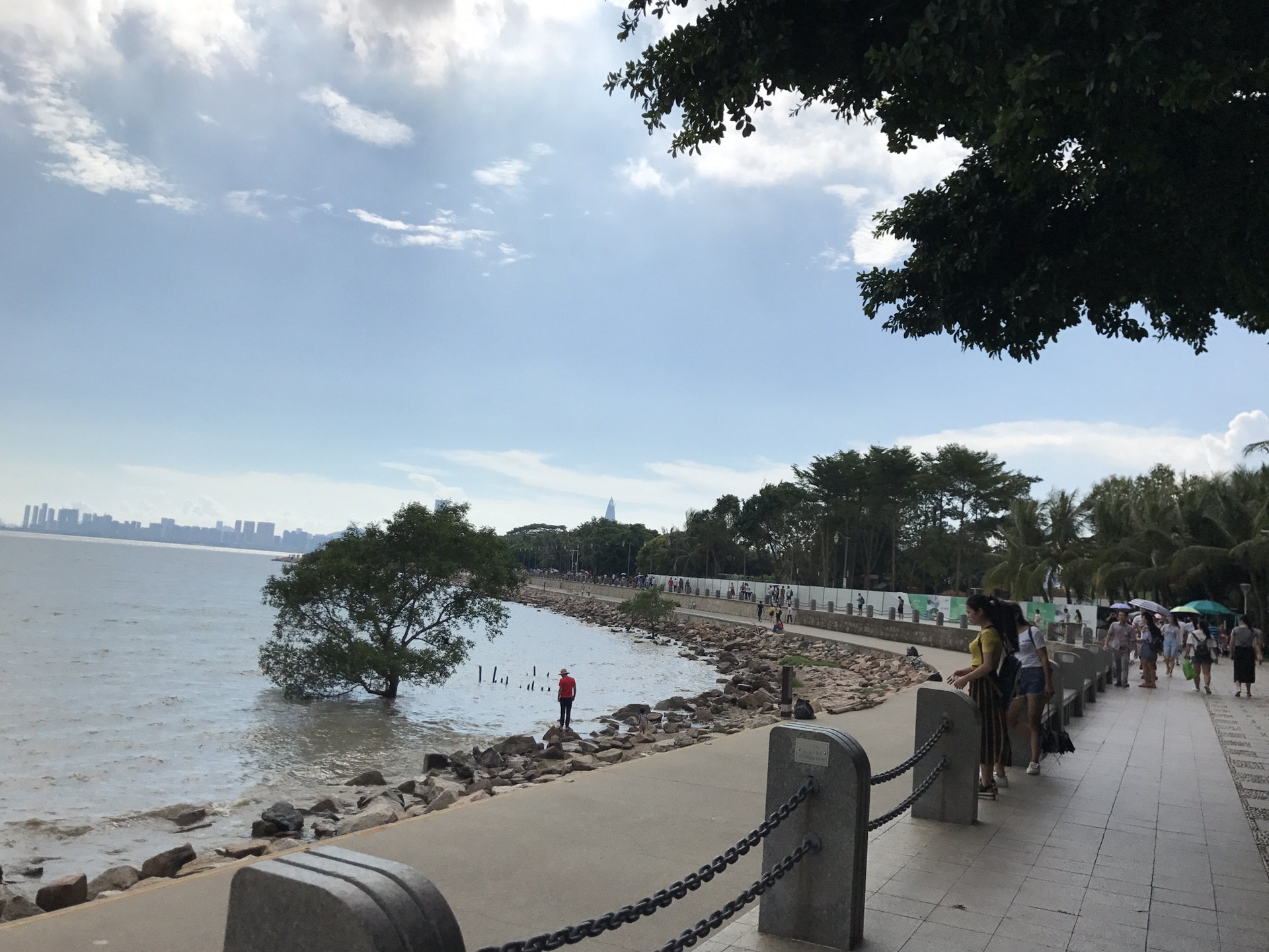红树林攻略 洗手间出来后,附近逛了逛,发现有个深圳湾公园自然教育