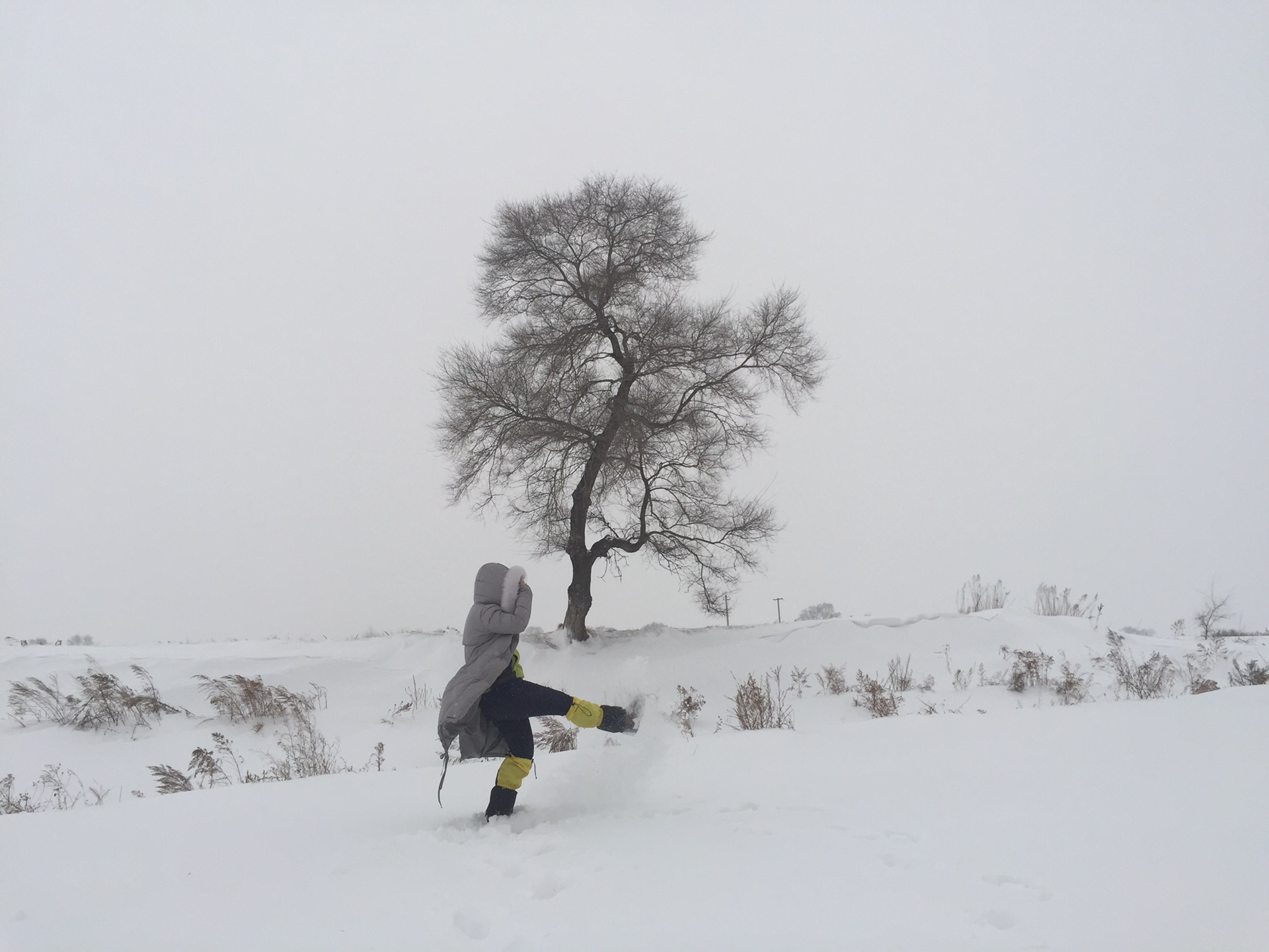 雪地上撒点野