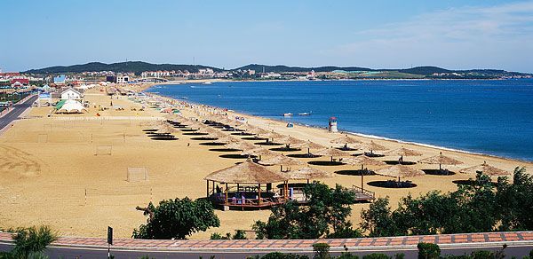 旅顺gdp_从大连市经济贸易学校坐公交车怎么到54中(3)