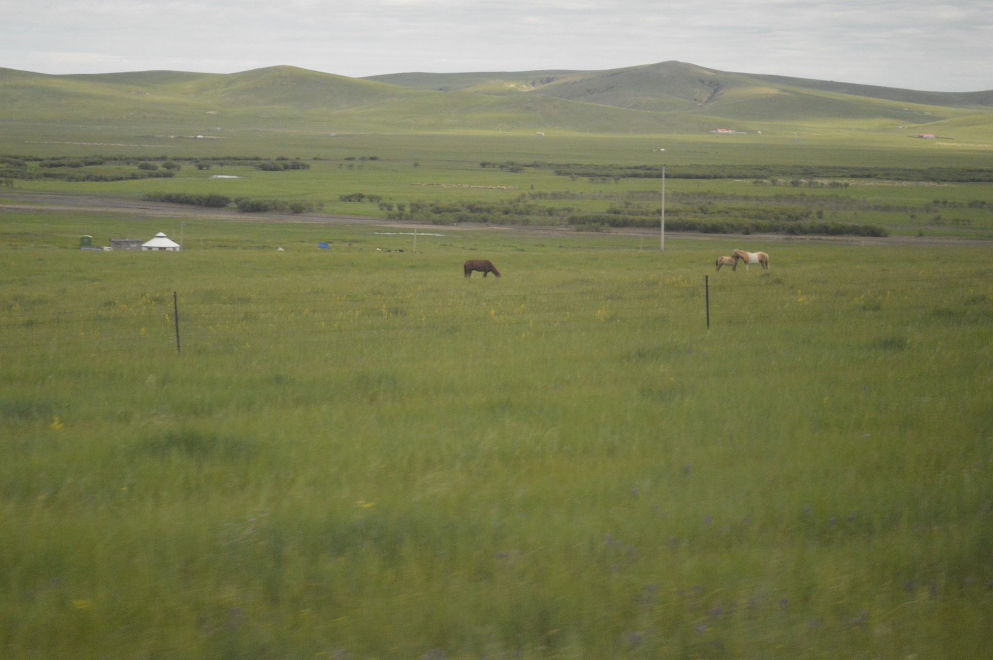莫什么河成语_成语故事图片