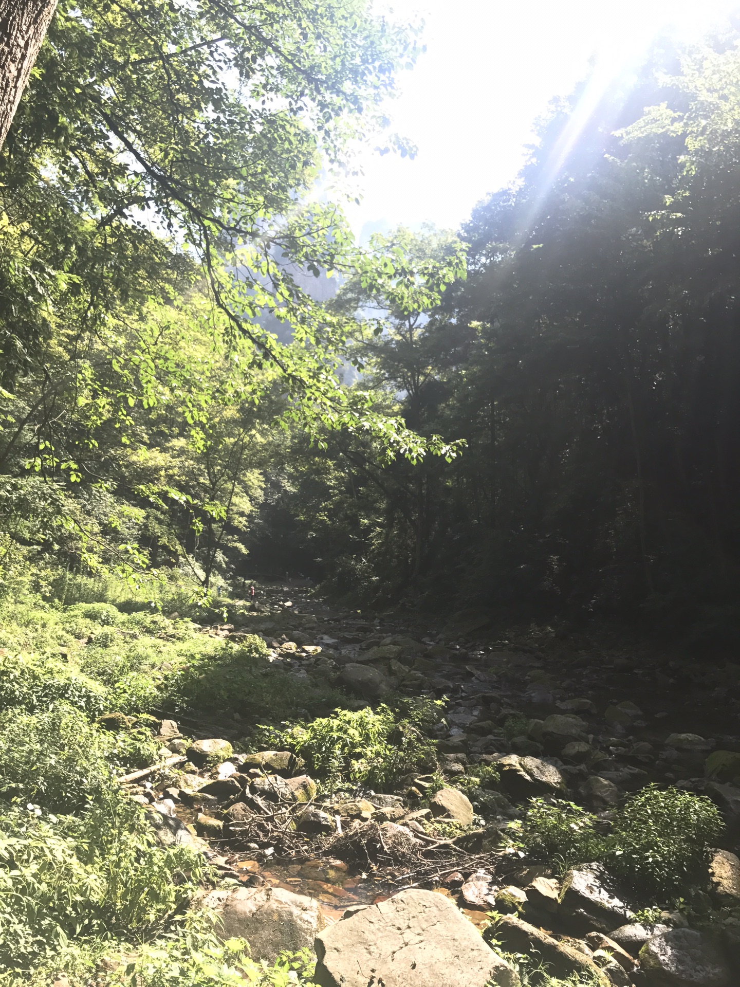 湘西人口碑_湘西赶尸人真实照片