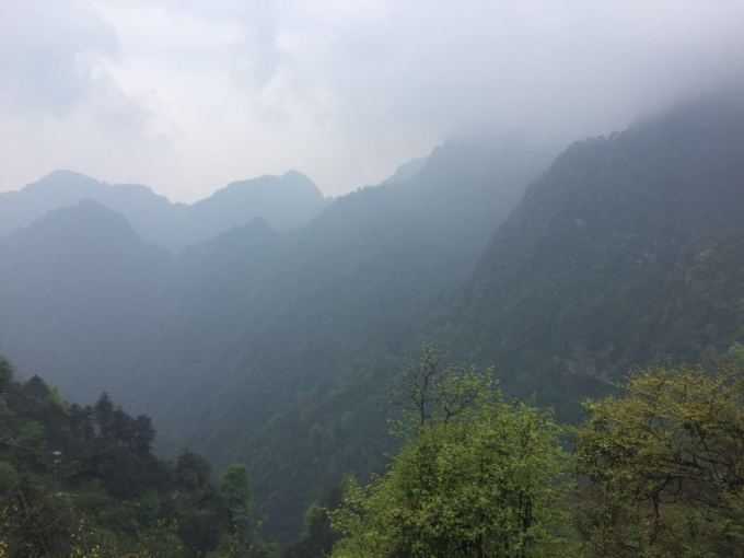 徒步路线:伏虎寺清音阁万年寺洗象池雷洞坪 考虑到时间问题,我们打算当天先爬到清音阁,在那稍作休息之后,第二天开启一整天的徒步之旅。来之前就有做好心理准备,有时候放假回家有爬山(那种一个小时就能爬完的...)加上自己平时也有跑步,所有心想不会太痛苦。从伏虎寺到清音阁的山路基本上都是平的,不过偶尔也会见到望不到尽头的山路,整个下来觉得还行,能坚持住,一路的风景秀丽也算安慰。