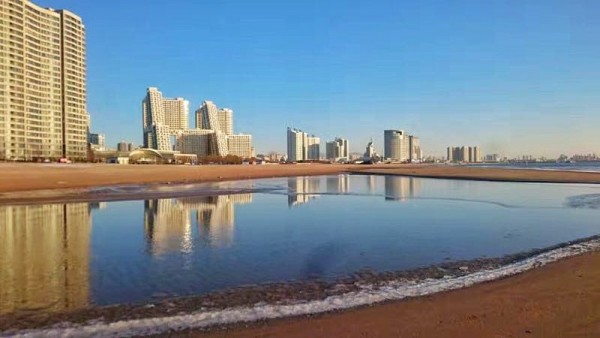 先养养眼,这是去海边钓鱼时手机拍的海葵,又叫海菊花,听起来像是植物,其实它是动物,一般都长在礁石缝隙中,不过这是不能吃滴。 皮皮虾,我觉得是海鲜中(至少是渤海湾的海鲜中)味道最鲜美的,全野生不能养殖,不要煮,要上屉蒸,有时候你在市场上看到水族箱里打着氧的皮皮虾虽然也活蹦乱跳,但煮熟了却发现很空,就是因为商家养的时间太长了,而且夏季的皮皮虾是不肥的,皮皮虾最肥的季节是春秋季。 墨斗鱼,又叫乌贼,当地海里就有,这是我自己在海里抓的,养在我的海底世界里绝对高颜值。 海马,这个被我养的有点变色了,但我抓它