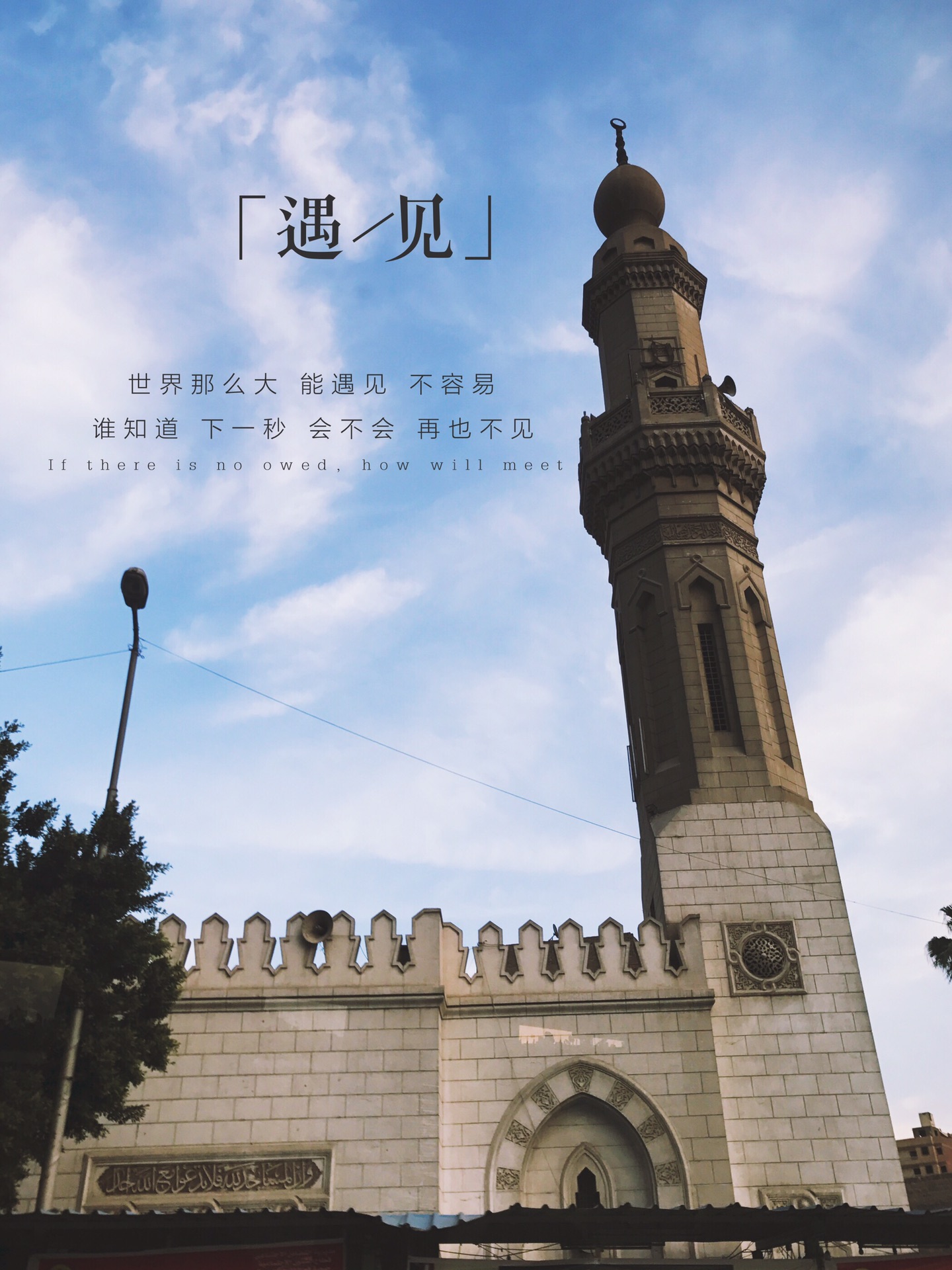 埃及人口众多_埃及人口分布图
