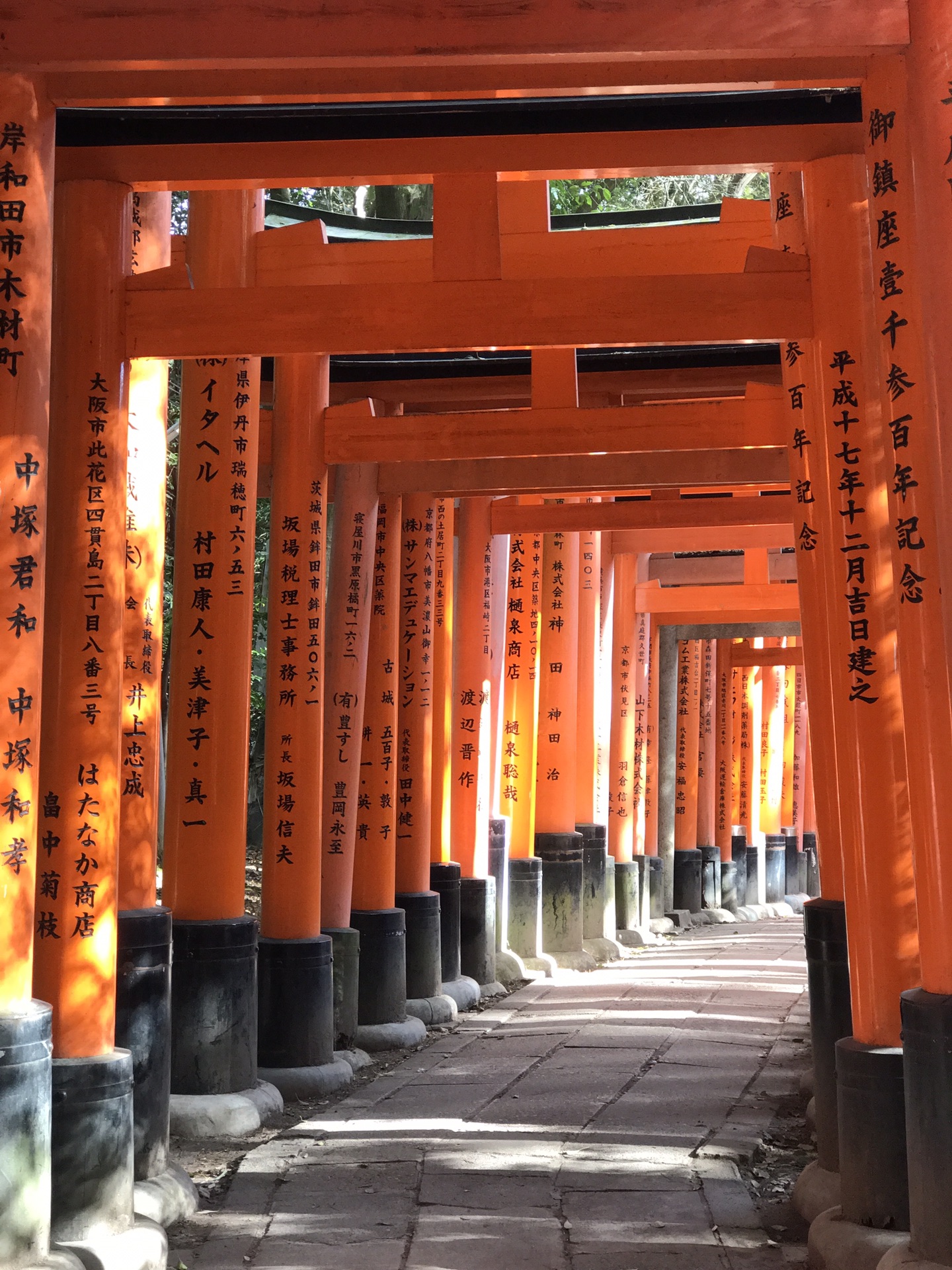 千本鸟居          