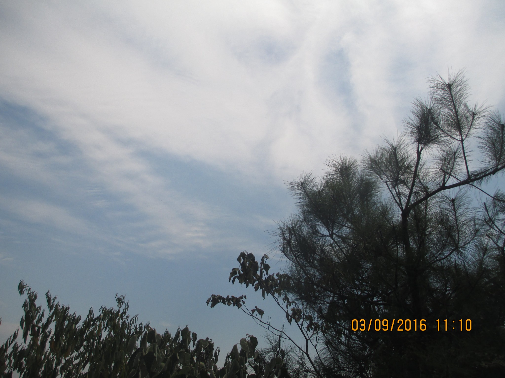 wKgBZ1hwdLOAIY47AAh2hdRUDVI82.jpeg?imageView2%2F2%2Fw%2F600%2Fh%2F600%2Fq%2F90