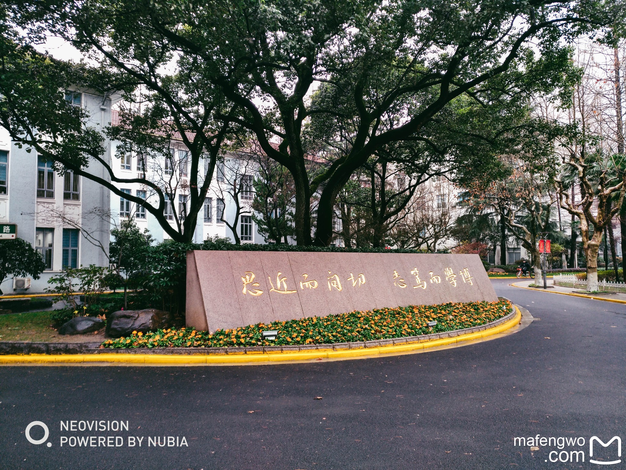 复旦大学          