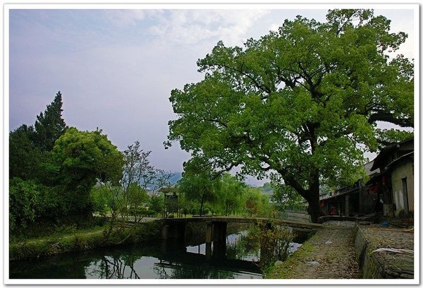 楠溪江旅游图片