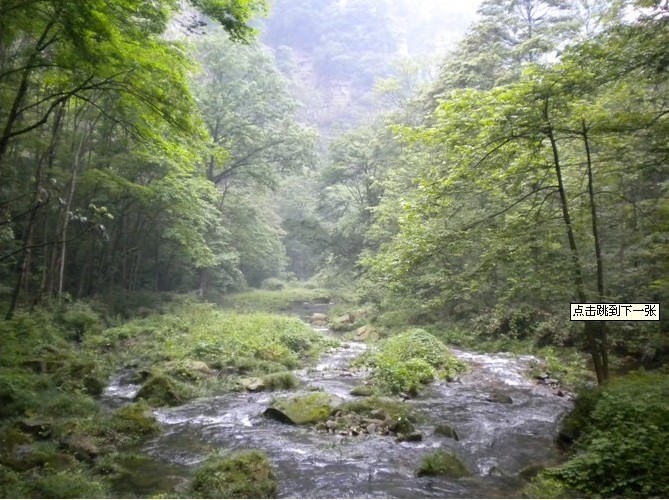 wKgBpU4u0pCsfvNYAAHy8njsHdo96.jpeg?imageView2%2F2%2Fw%2F600%2Fh%2F600%2Fq%2F90