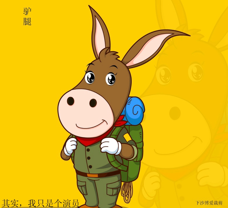 驴的十个种族分类