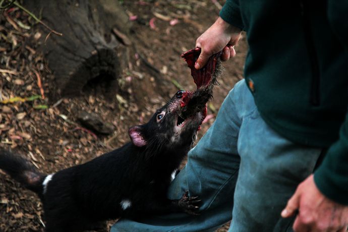 wKgBpU4gYhvZP9Q2AADulqECNUg91.jpeg?imageView2%2F2%2Fw%2F600%2Fh%2F600%2Fq%2F90