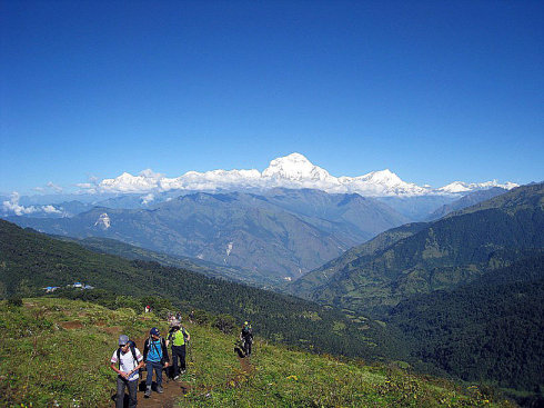 wKgBjE9LlN6cR5A5AAEkSymrzgE00.jpeg?imageView2%2F2%2Fw%2F600%2Fq%2F50