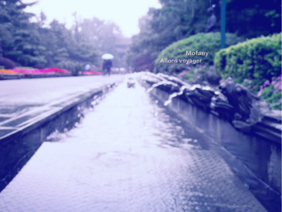 wKgByU_Mfh-NhCAIAAnVDbYHrpQ21.jpeg?imageView2%2F2%2Fw%2F600%2Fh%2F600%2Fq%2F90
