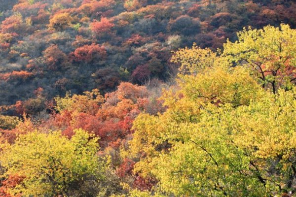 坡峰岭在哪里图片 wKgB3FCVslCAW07cAAJCjmLk9rs95.jpeg?imageView2%2F2%2Fw%2F600%2Fh%2F600%2Fq%2F90