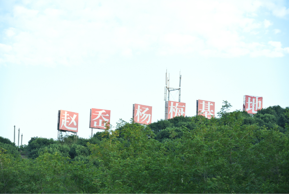 仙居县有多少人口