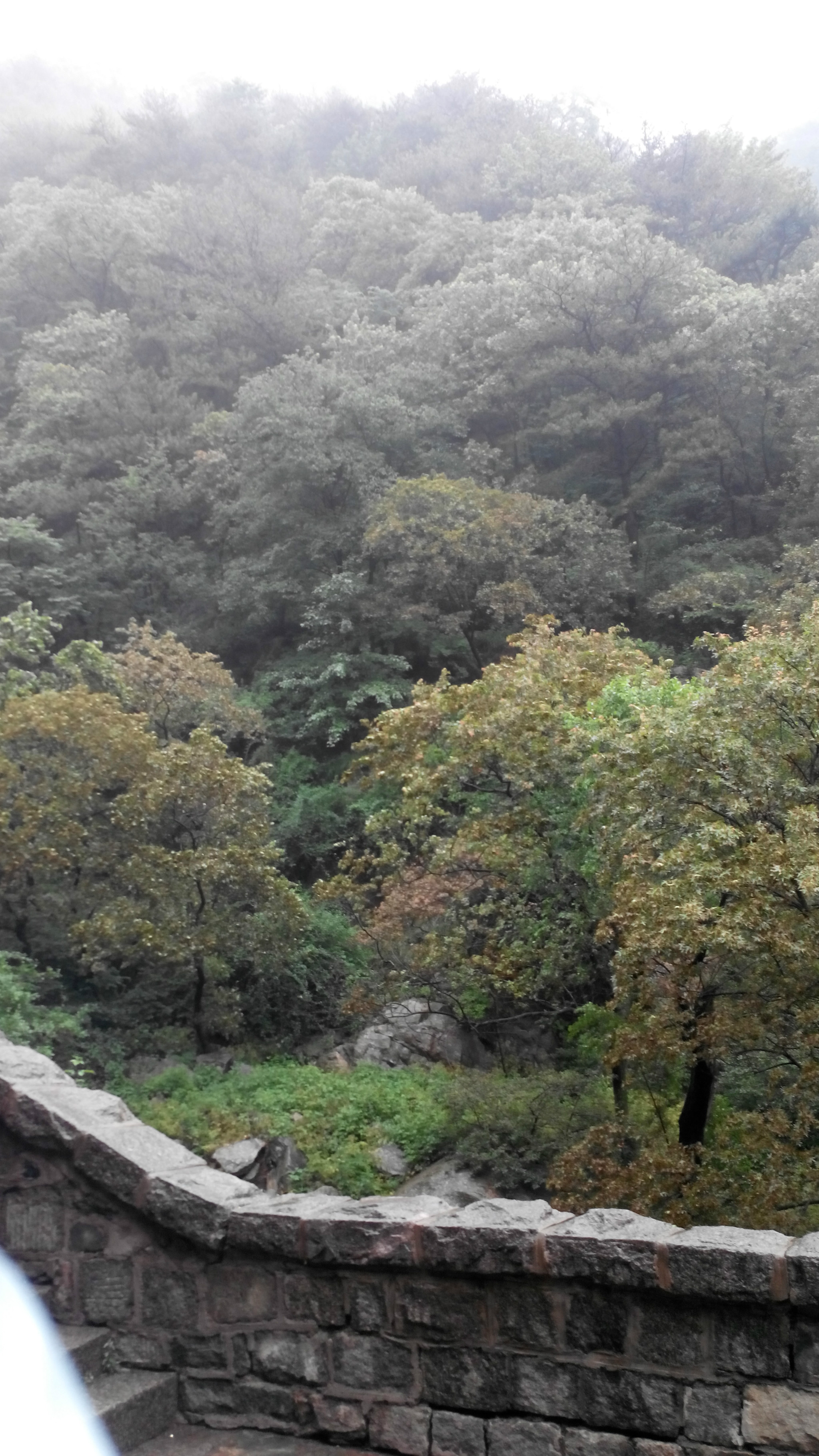 wKgB4lOpeOOAVs_AABaL-IAvw1k03.jpeg?imageView2%2F2%2Fw%2F600%2Fh%2F600%2Fq%2F90