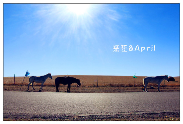 额尔古纳河右岸电影完整版 wKgB4lKC4WyAR4zCAAJ6MSabMek36.jpeg?imageView2%2F2%2Fw%2F600%2Fh%2F600%2Fq%2F90