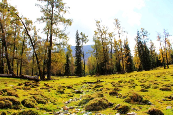 大好河山猜成语_祖国大好河山图片(2)