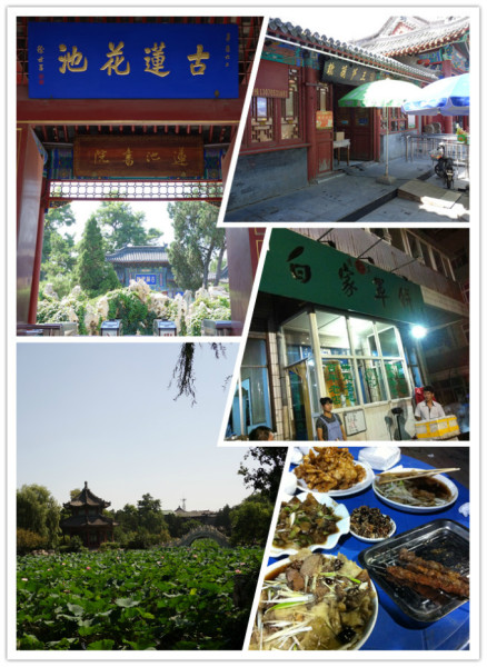 佛山农家游玩攻略,佛山农家游玩攻略一日游