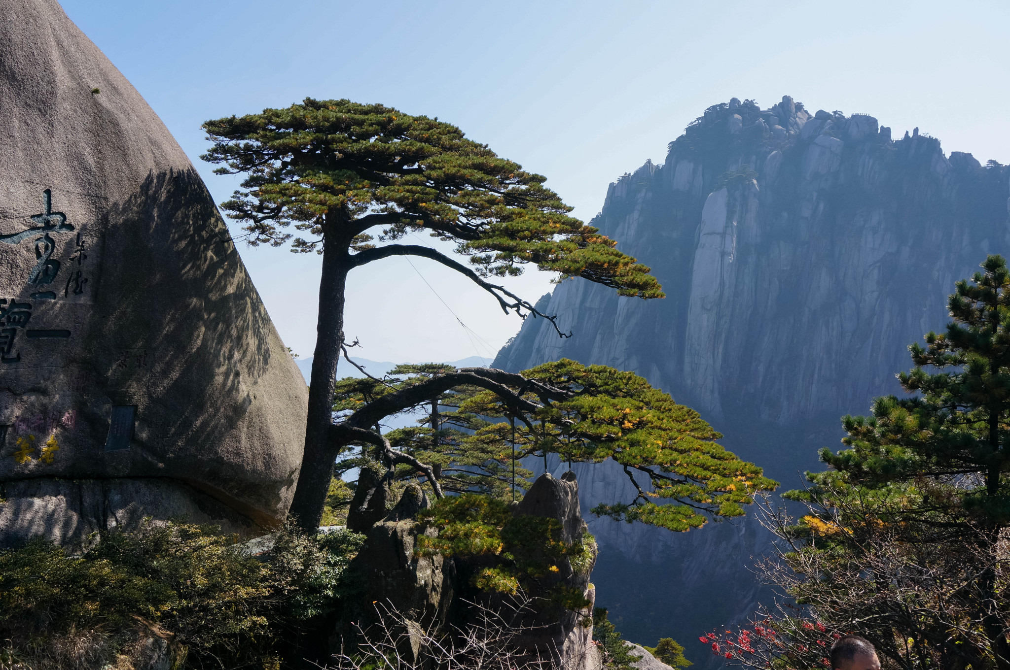 黄山有多少人口_让人 归来不看岳 的黄山,给你好看 附三日环线安排(3)