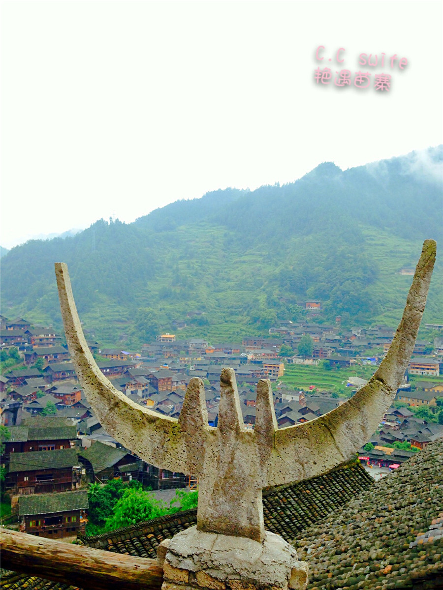 务川有多少人口_务川涪洋人口普查