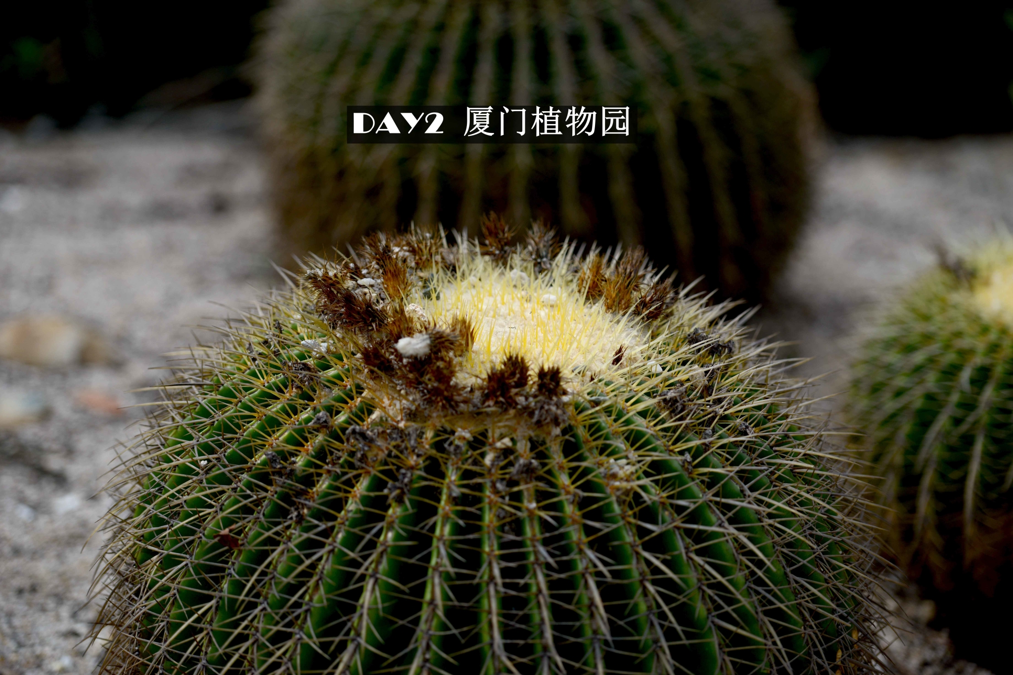 wKgB6lTU3yqAYKhsABic5VH3eDs40.jpeg?imageView2%2F2%2Fw%2F600%2Fh%2F600%2Fq%2F90