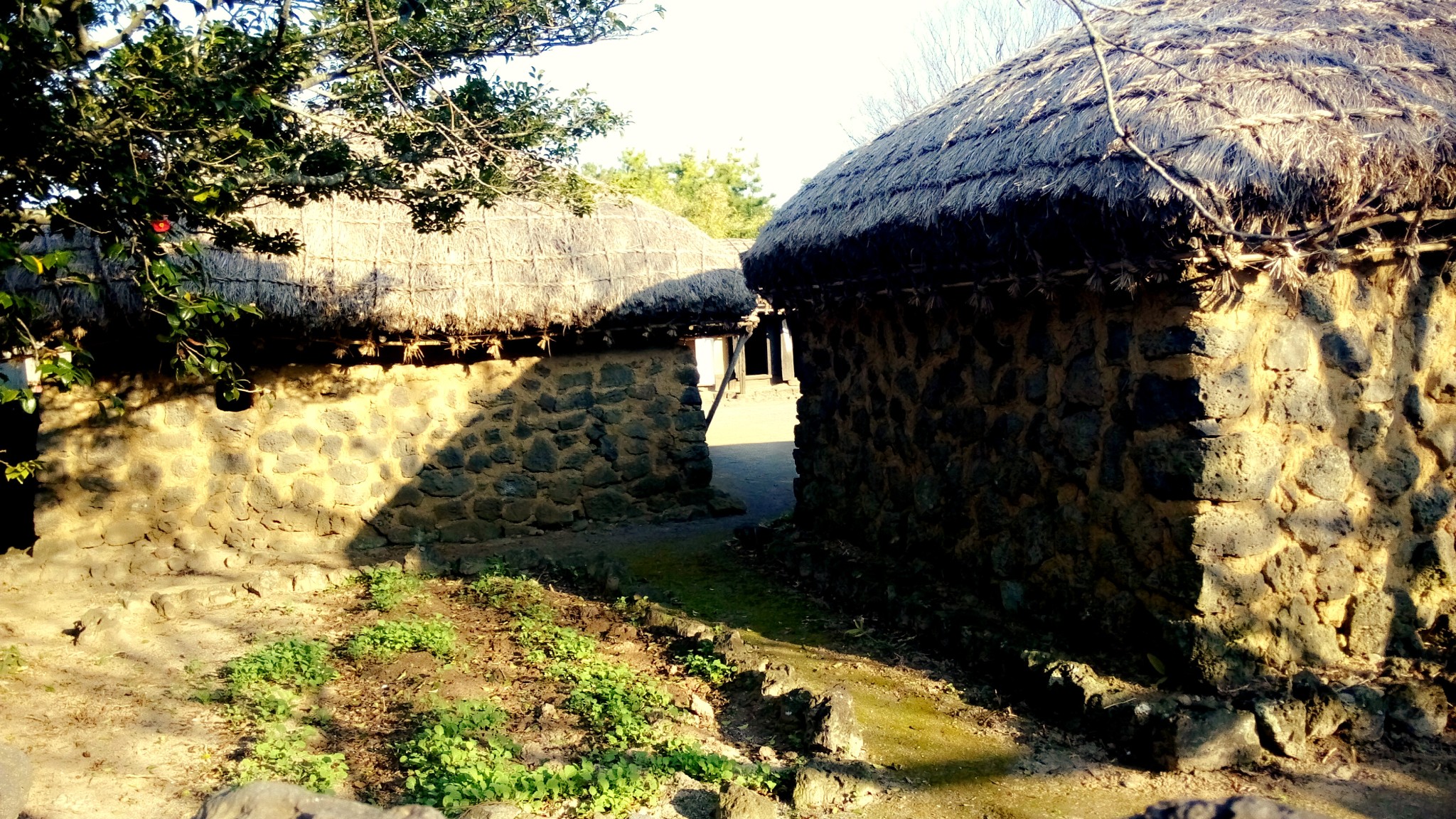济州岛人均_韩国济州岛图片(3)