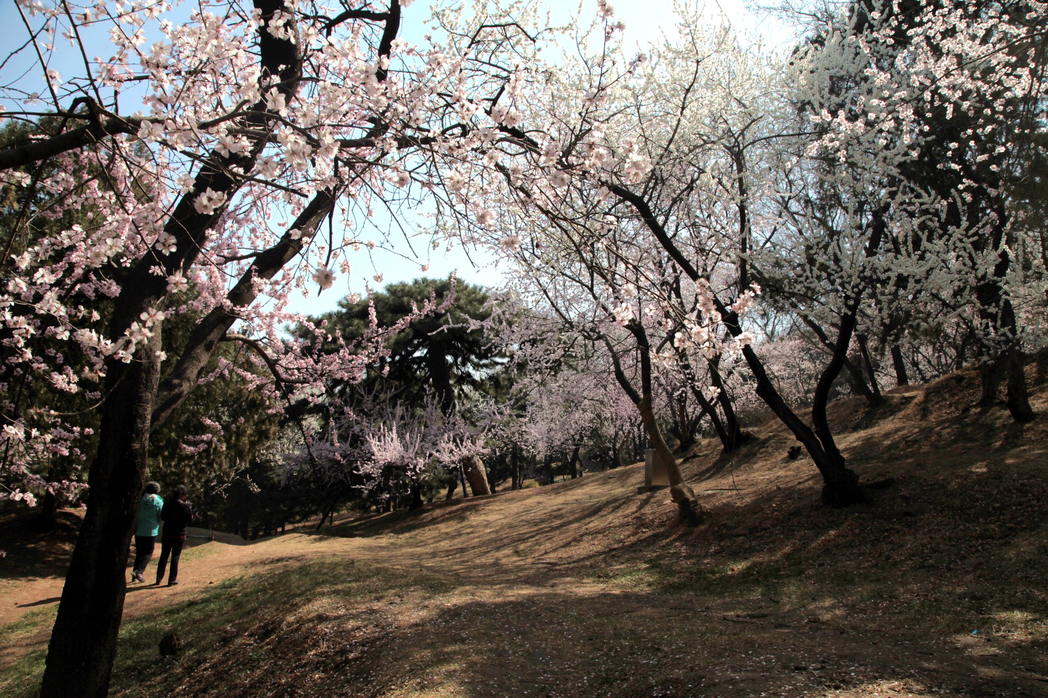 wKgBpVVHOJiARxHZABIm_TMXRqA74.jpeg?imageView2%2F2%2Fw%2F600%2Fh%2F600%2Fq%2F90