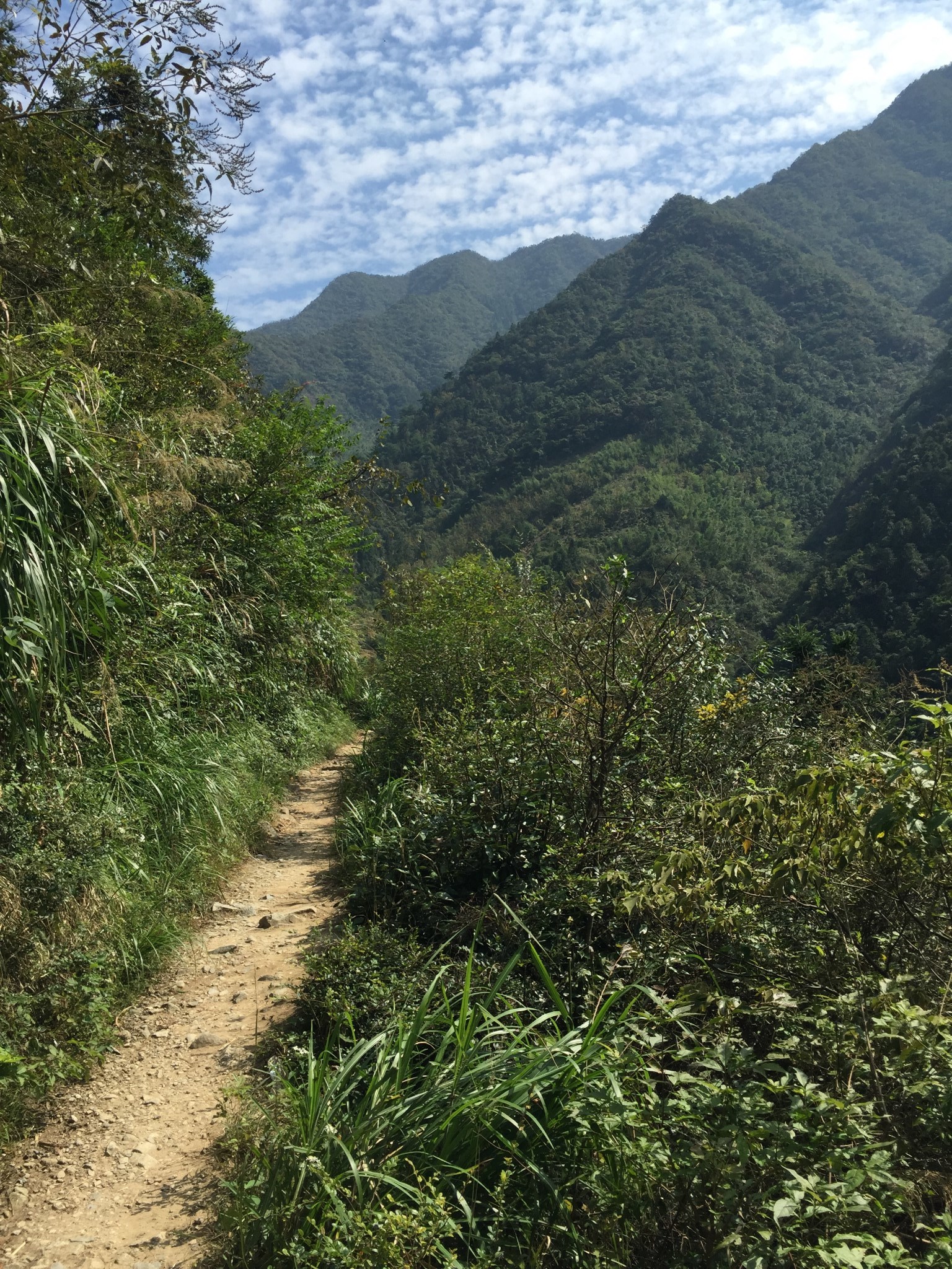 绩溪有多少人口_龙川,旅游攻略,自助游,自驾游,自由行,游玩攻略指南 移动版