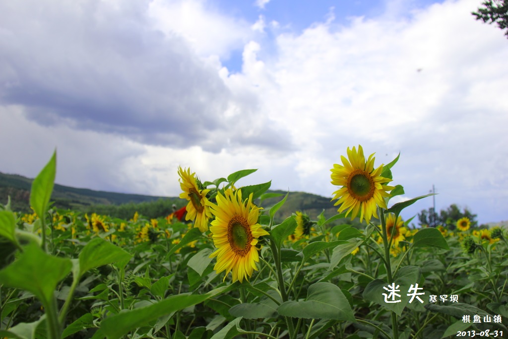 wKgBpVVUgaeAVZT2AALSg8L8vYE52.jpeg?imageView2%2F2%2Fw%2F600%2Fh%2F600%2Fq%2F90