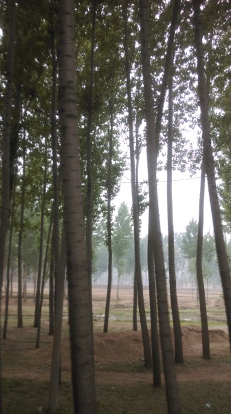 盘古村游玩攻略,盘古村游玩攻略大全