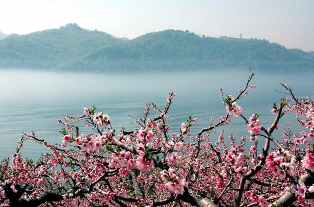 (报名已满)4.19【精彩户外】平谷桃花节 金海湖 小金山 休闲一日游