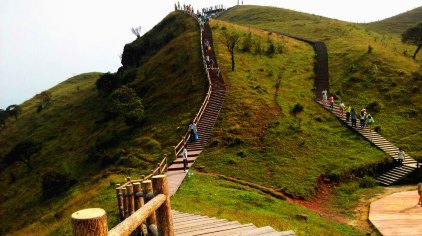 岑溪天龙顶国家山地公园门票