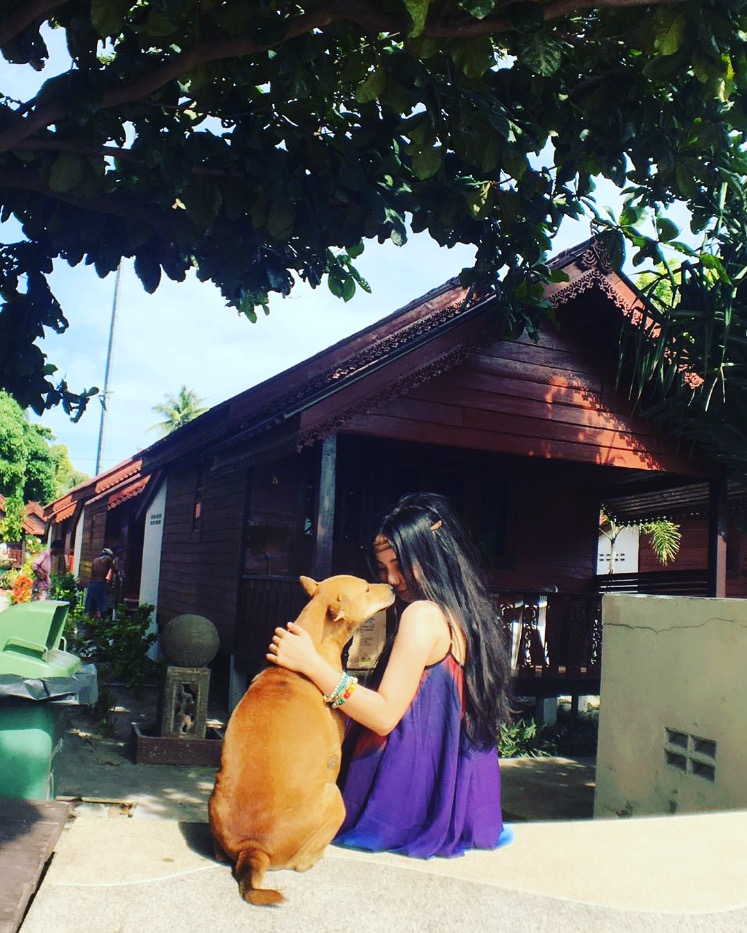 午休梦游，与暗恋之人共赴尧山烧烤，偶遇大佛的寓意初探