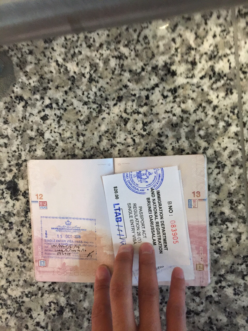 填写完了把护照连同表格一起给签证官,20 文莱 元搞定,一个问题也没问