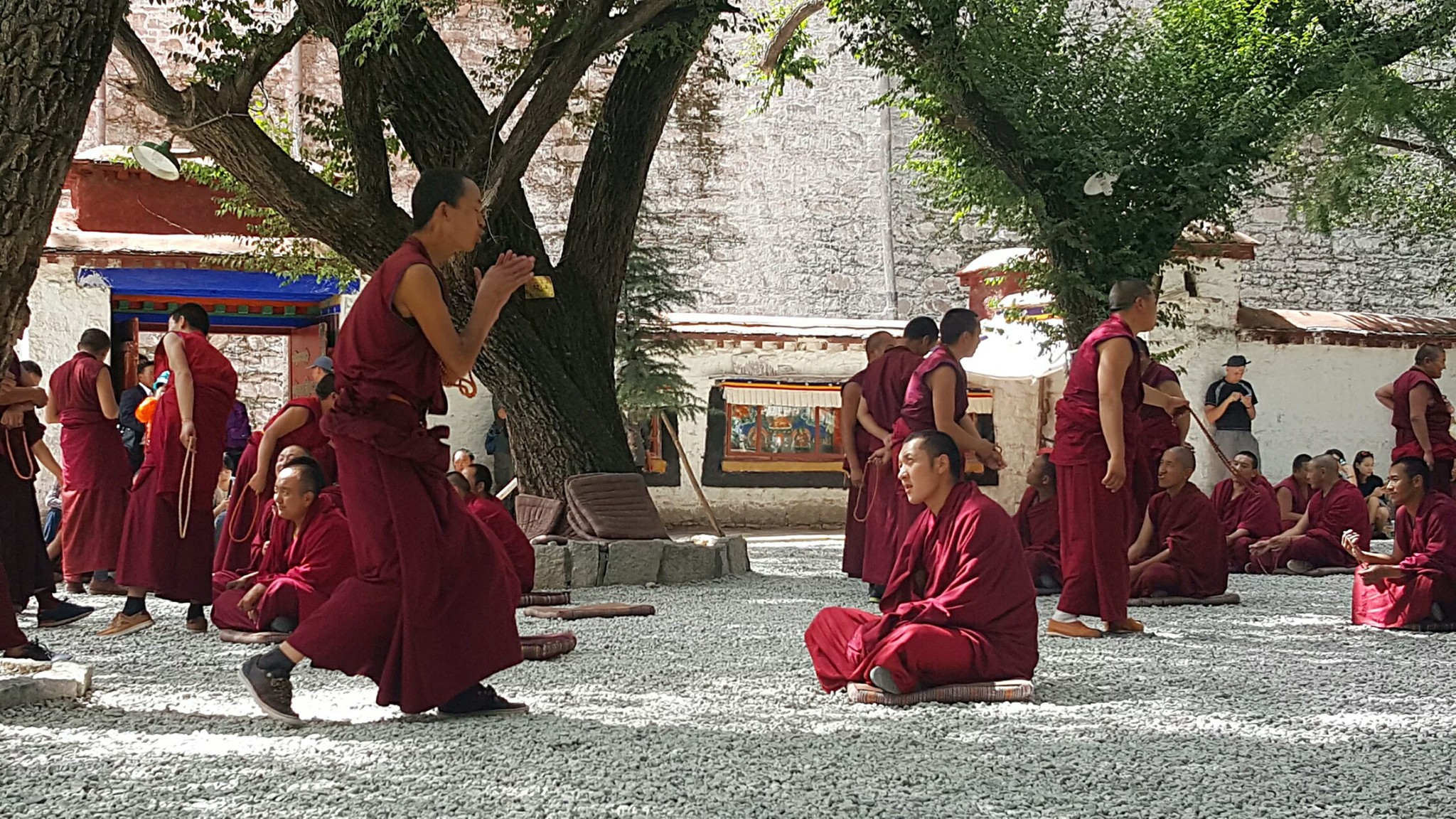 藏族有多少人口_藏族人为什么那么喜欢喝可乐(3)