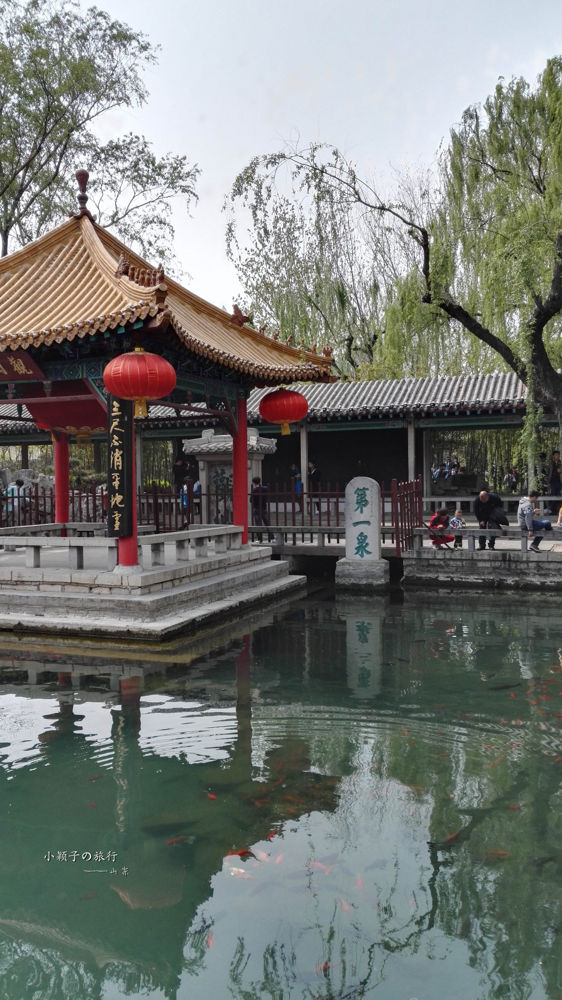 趵突泉景区         